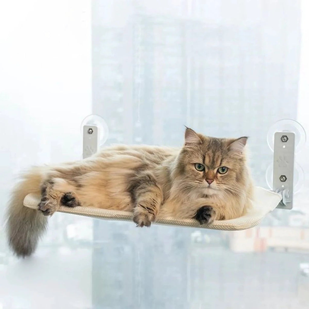 PAWPERCH – Foldable Cat Hammock with Wall-Friendly Mount | No-Drill Window Seat by BowLift