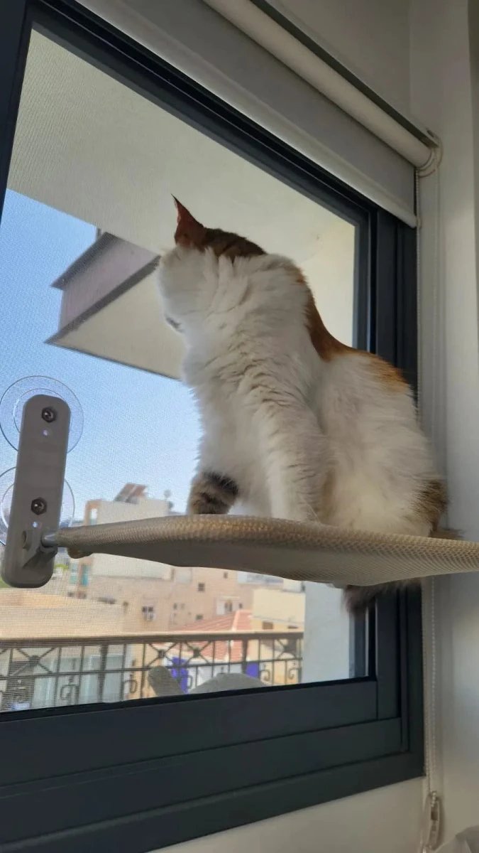 PAWPERCH – Foldable Cat Hammock with Wall-Friendly Mount | No-Drill Window Seat by BowLift