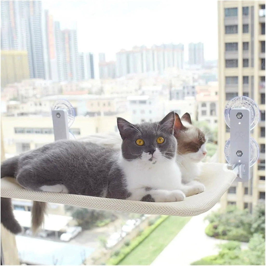 PAWPERCH – Foldable Cat Hammock with Wall-Friendly Mount | No-Drill Window Seat by BowLift
