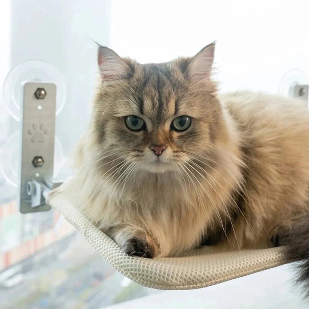 PAWPERCH – Foldable Cat Hammock with Wall-Friendly Mount | No-Drill Window Seat by BowLift