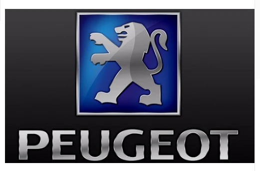 Peugeot flag-3x5 FT-100% polyester Banner-Black / White by flagsshop