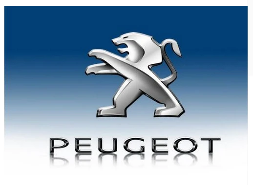Peugeot flag-3x5 FT-100% polyester Banner-Black / White by flagsshop