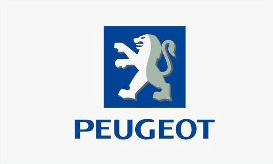 Peugeot flag-3x5 FT-100% polyester Banner-Black / White by flagsshop
