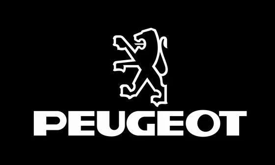 Peugeot flag-3x5 FT-100% polyester Banner-Black / White by flagsshop