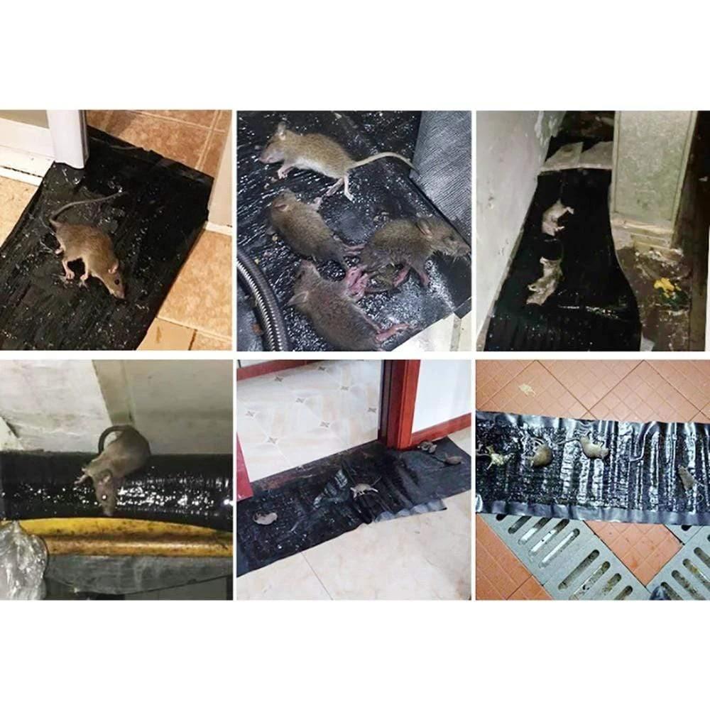 4 Pieces Anti-Rat Large Large Sticky Trap for Rodents Moles Mouse Trap Rat Mouse Trap Black Invisible Mouse Glue Trap - 4 Pieces by Bowlift