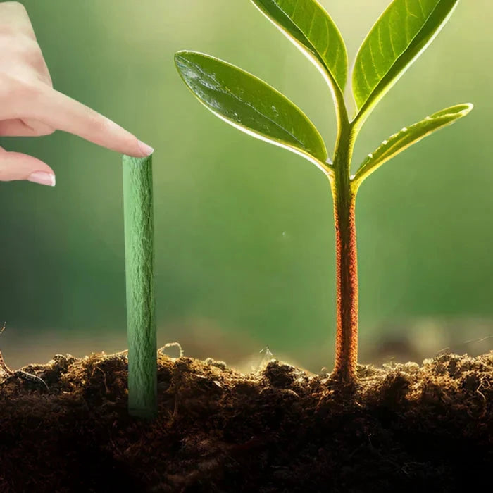Long-lasting Fertilizer for Easy and Sustainable Plant Care Bowlift by Bowlift