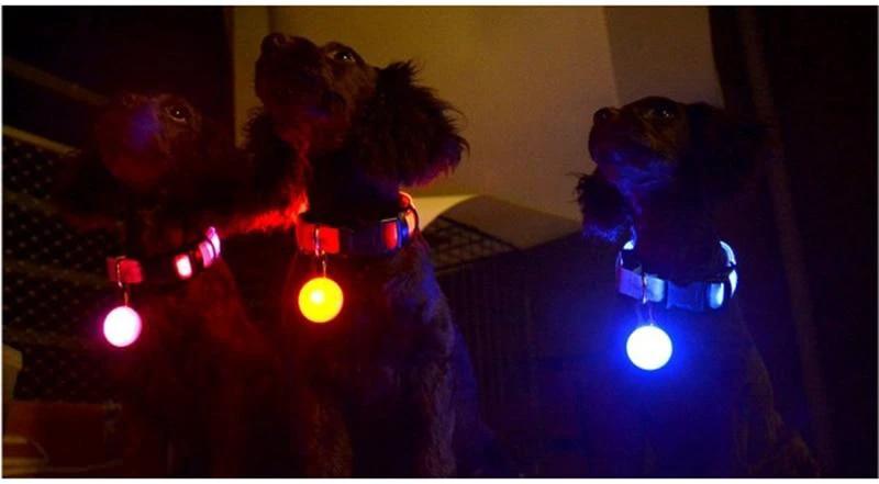 LED Flash Dog Collar Pendant by Bowlift