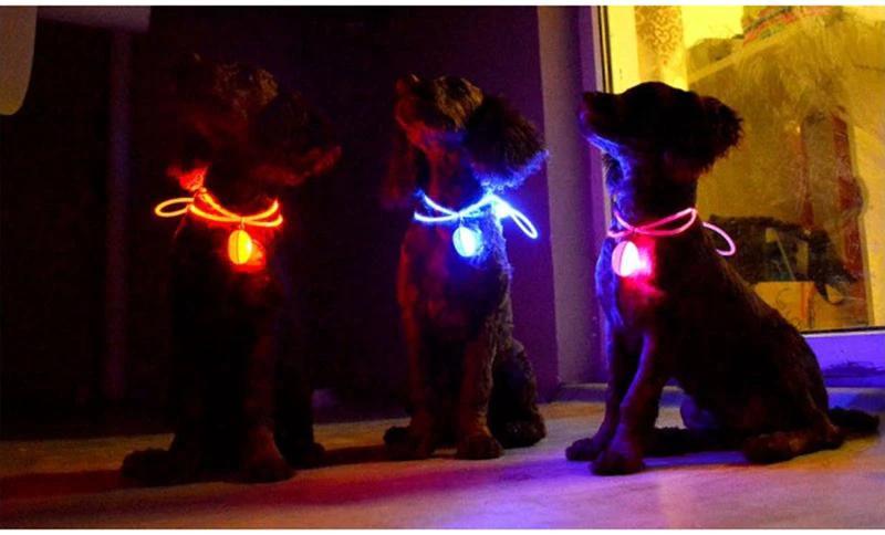 LED Flash Dog Collar Pendant by Bowlift