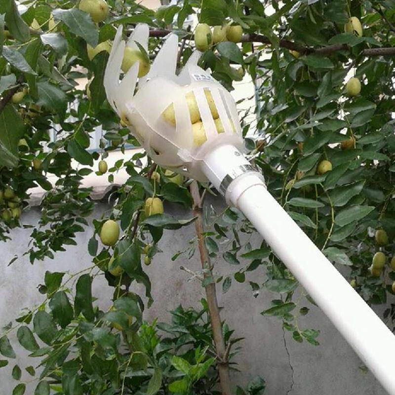 Fruit Picker & Catcher Garden Tool by Bowlift