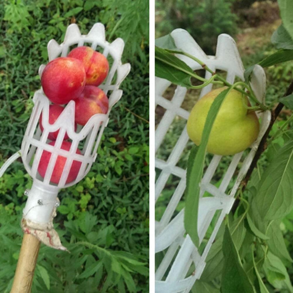 Fruit Picker & Catcher Garden Tool by Bowlift