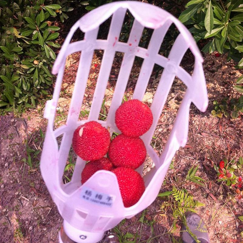 Fruit Picker & Catcher Garden Tool by Bowlift