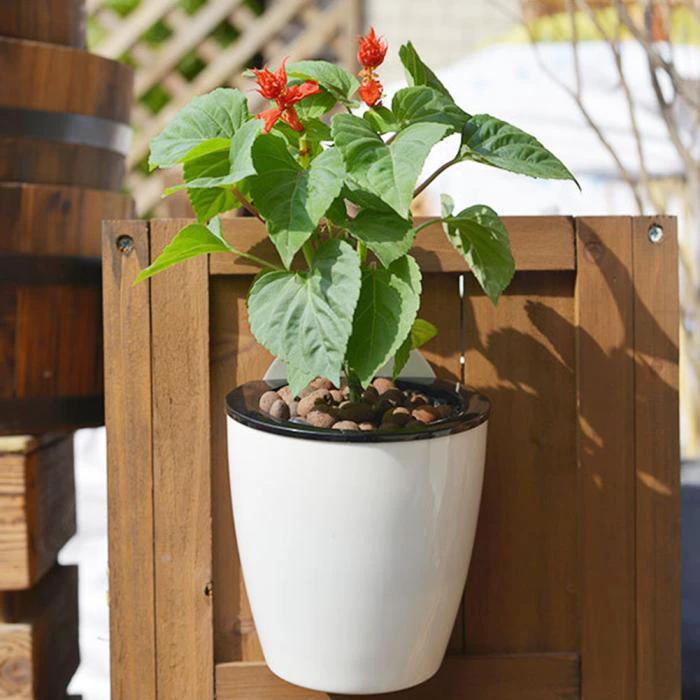 InstanWater - Self Watering Hanging Planter by Bowlift