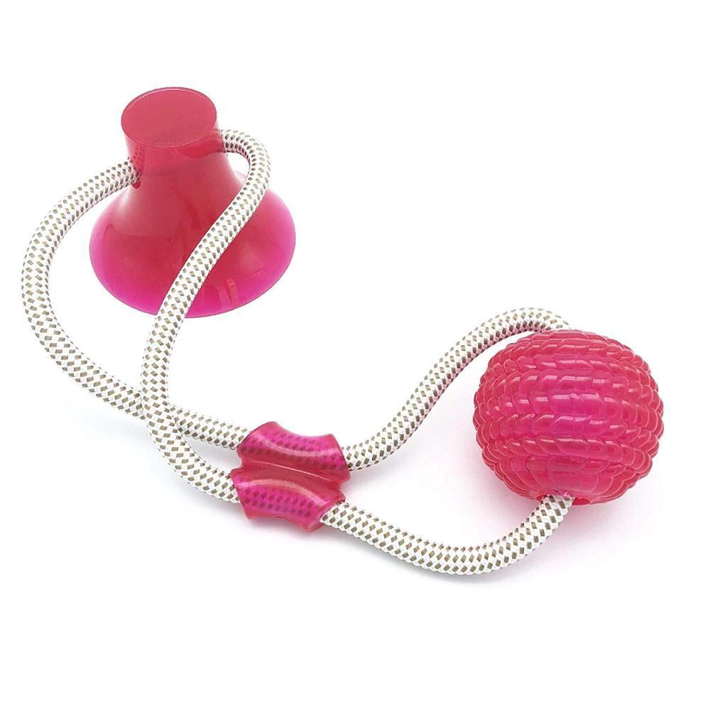 Max - Wall Hanging Pet Toy Ball by Bowlift