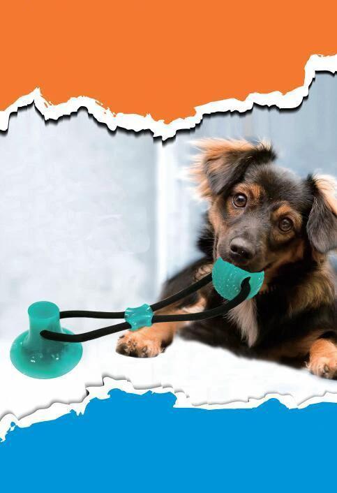 Max - Wall Hanging Pet Toy Ball by Bowlift