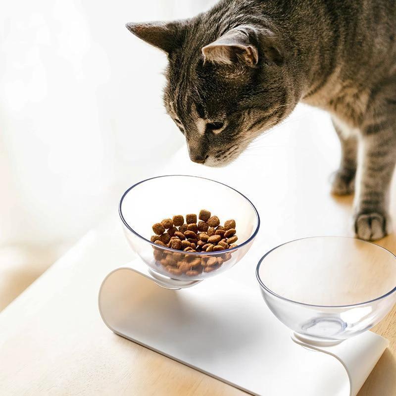 Raised Small Pet Bowls by Bowlift