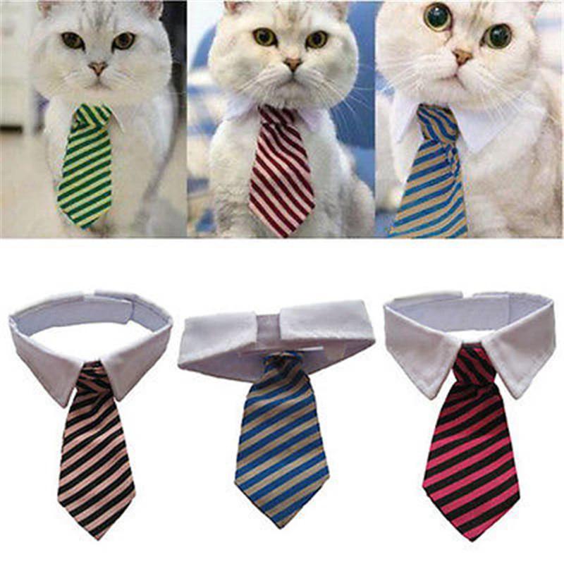 Sugar & Cotton's Famous Pet Neckties by Bowlift
