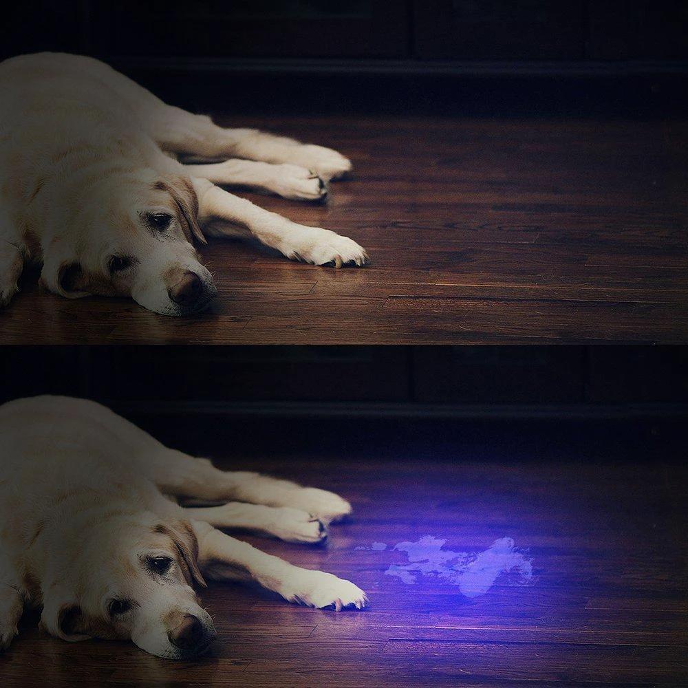 HiLight - LED UV Detection Flash Light by Bowlift