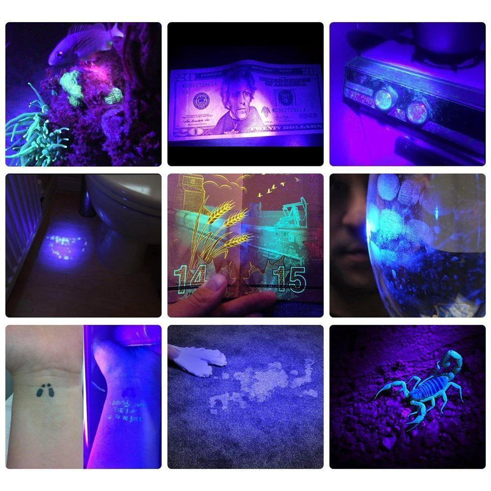 HiLight - LED UV Detection Flash Light by Bowlift