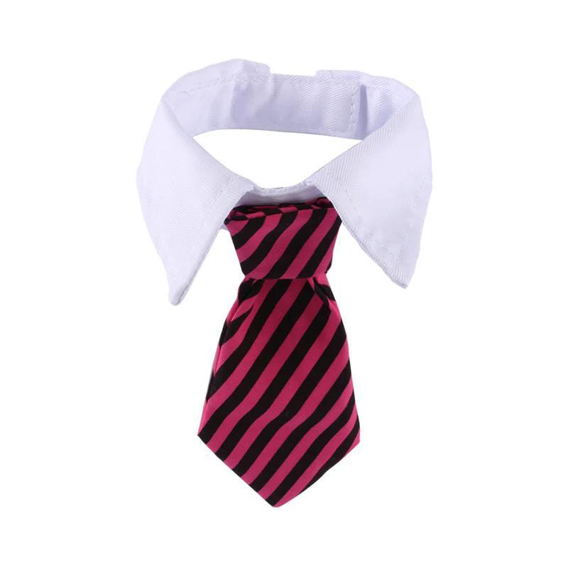 Sugar & Cotton's Famous Pet Neckties by Bowlift