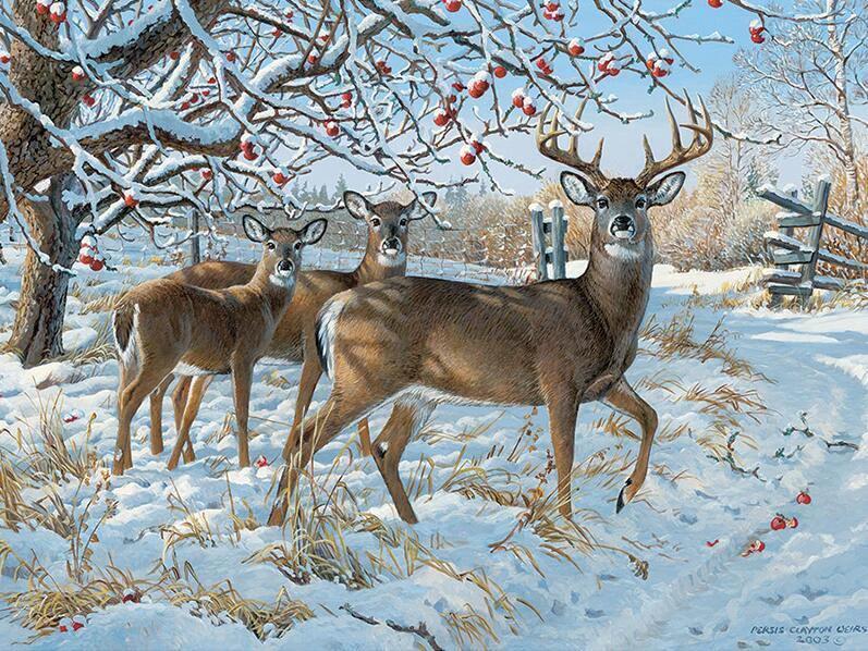 Snowfall on Reindeer - GemPaint Kit by Bowlift