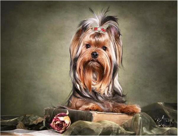 It's a Dog's Life - GemPaint Kit by Bowlift