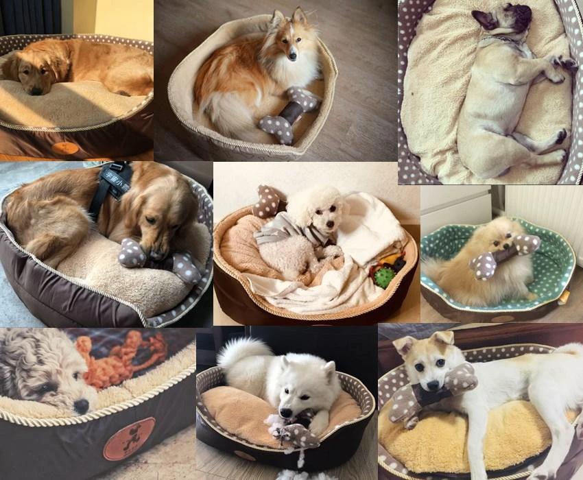 Susie - Double Sided Fleece Pet Bed by Bowlift