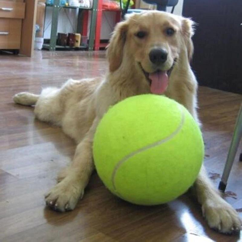The Giant Tennis Ball by Bowlift