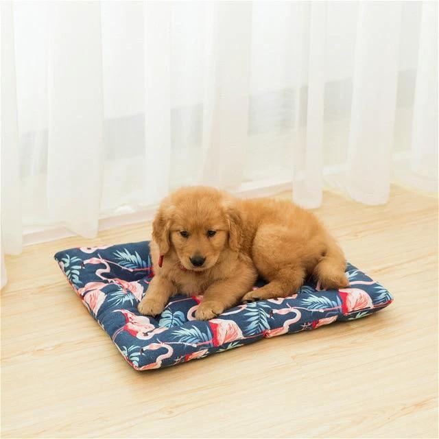 Henry - Pet Bed Cushion by Bowlift