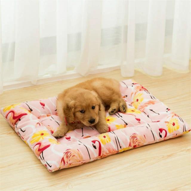 Henry - Pet Bed Cushion by Bowlift