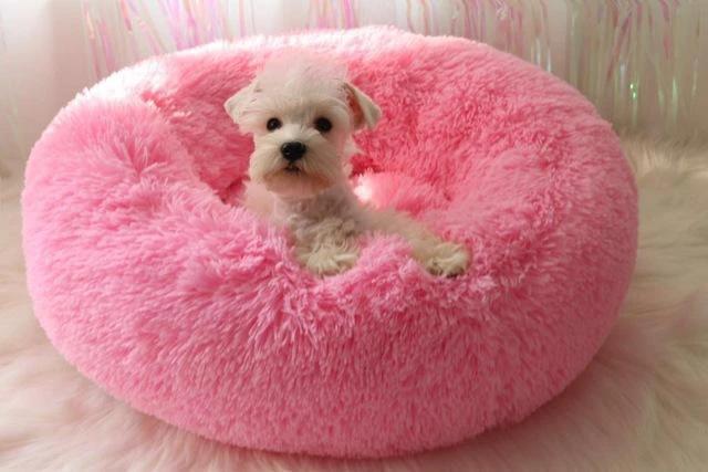 Mini - Round Fluffy Plush Pet Bed by Bowlift