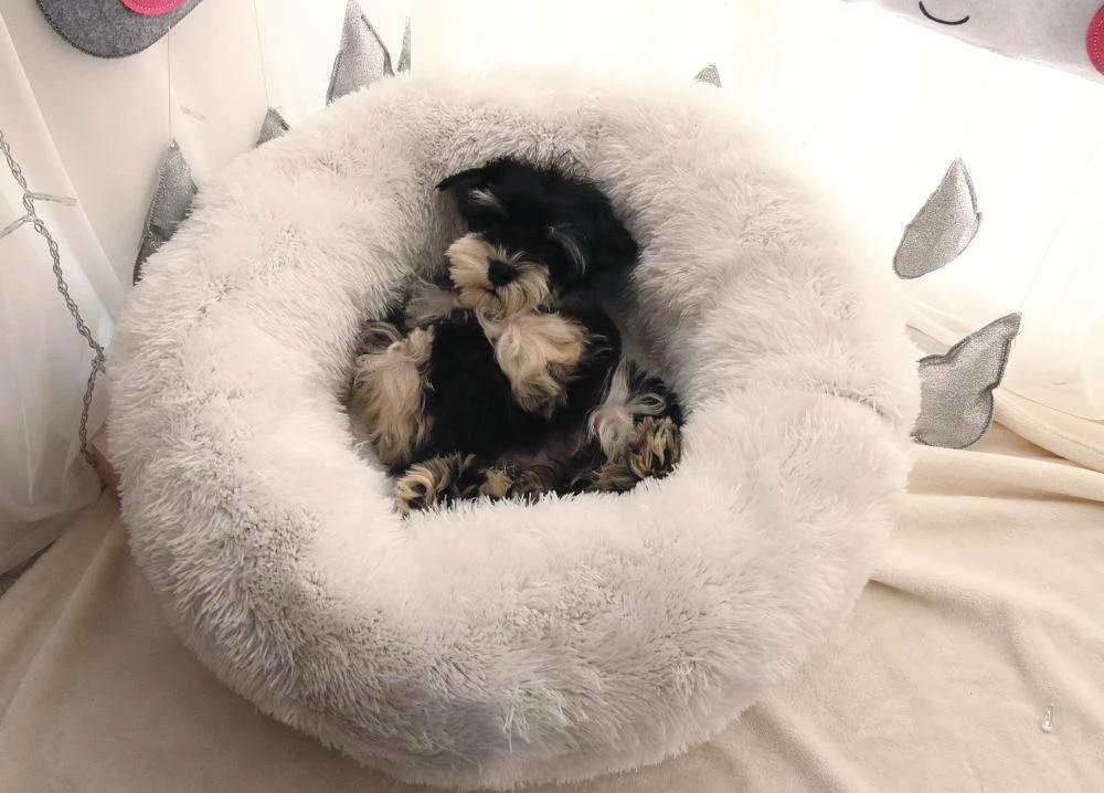 Mini - Round Fluffy Plush Pet Bed by Bowlift