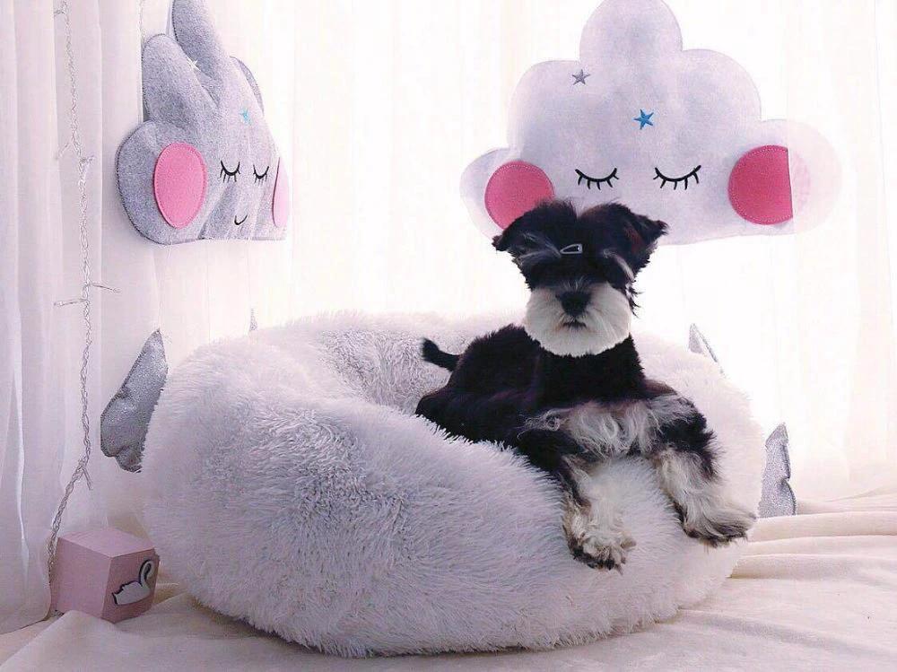 Mini - Round Fluffy Plush Pet Bed by Bowlift