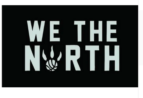 Toronto Raptors Flag-3x5FT Banner-100% polyester by flagsshop