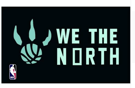 Toronto Raptors Flag-3x5FT Banner-100% polyester by flagsshop
