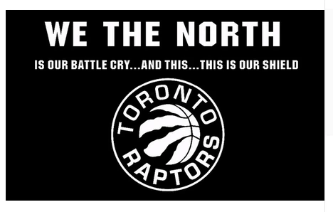 Toronto Raptors Flag-3x5FT Banner-100% polyester by flagsshop