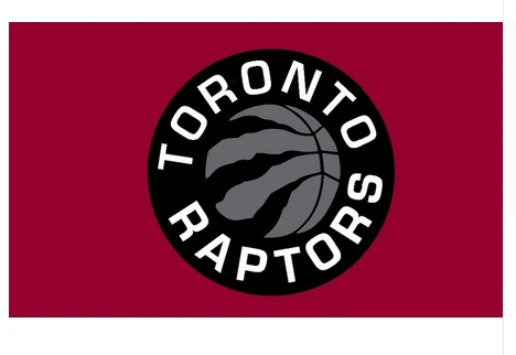 Toronto Raptors Flag-3x5FT Banner-100% polyester by flagsshop