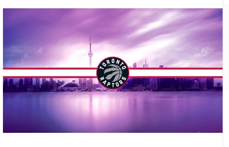 Toronto Raptors Flag-3x5FT Banner-100% polyester by flagsshop