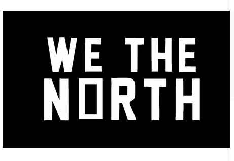 Toronto Raptors Flag-3x5FT Banner-100% polyester by flagsshop