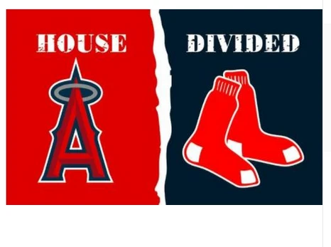 Boston Red Sox Flag-3x5FT Banner-100% polyester by flagsshop