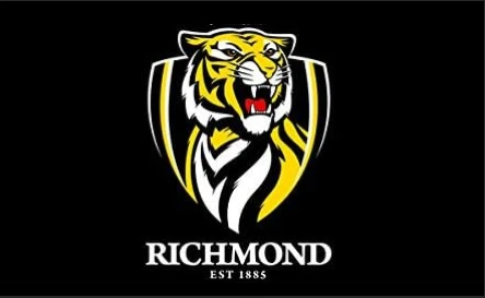 Richmond Tigers Flag -3x5 FT-100% polyester -AFL Team by flagsshop