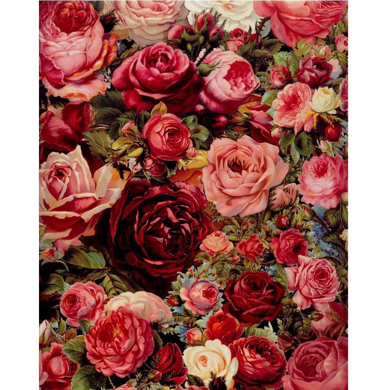 Rose Universe - Van-Go Paint-By-Number Kit by Bowlift