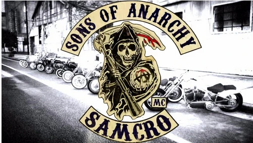 Samcro Flag-3x5 FT Banner-100% polyester-2 Metal Grommets by flagsshop