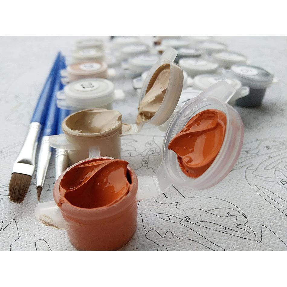 Four Seasons Three Sixty - Van-Go Paint-By-Number Kit by Bowlift