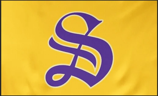 Sewanee Flag -3x5 FT Banner-100% polyester-2 Metal Grommets-The University of the South Tapestry by flagsshop
