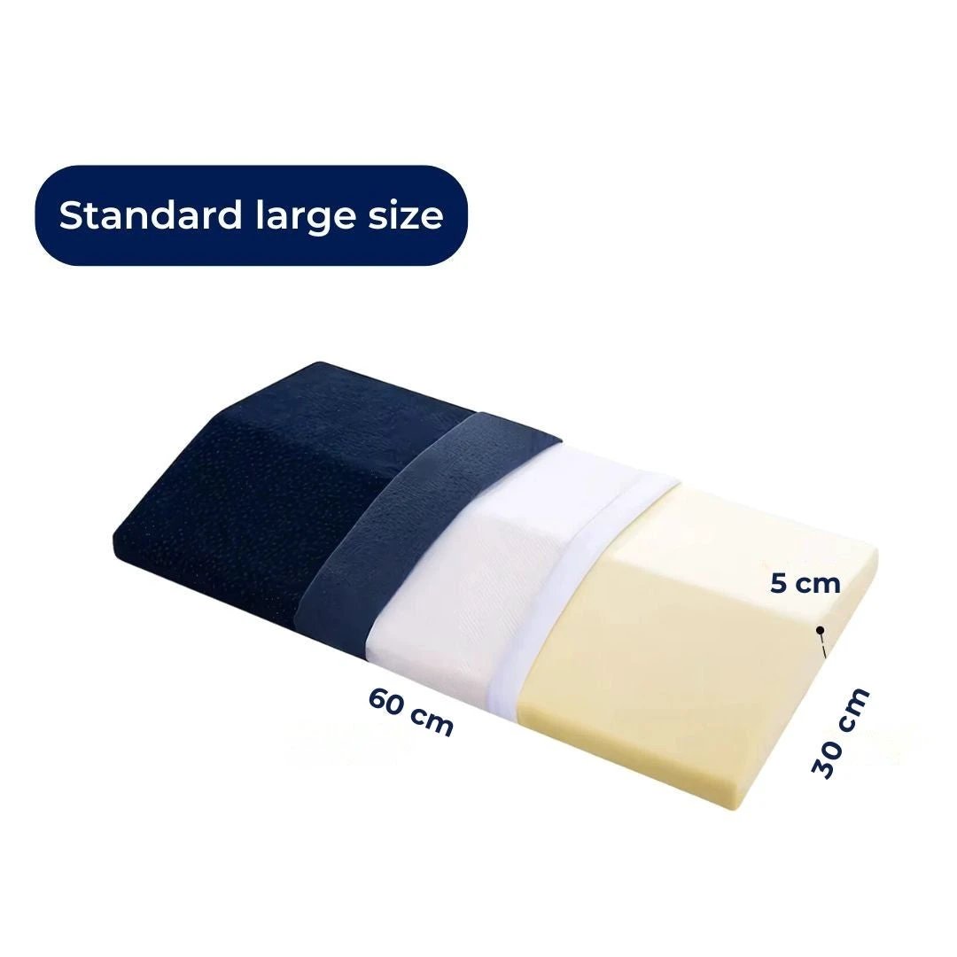 SleepAlign Lumbar Support Pillow for Sleeping | Relieves Back Pain - Improves Spinal Alignment - Comfortable Pillow for Back Pain Relief Bowlift by Bowlift
