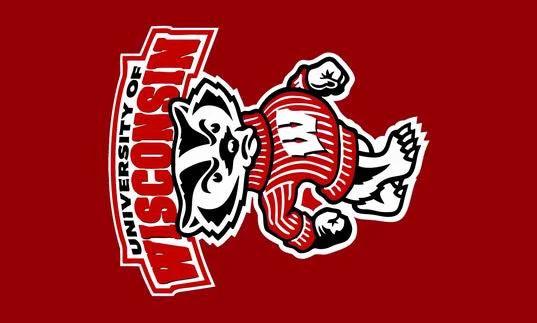 NCAA University of Wisconsin Banner Wisconsin Badgers Flag 3X5FT 100% polyester by flagsshop