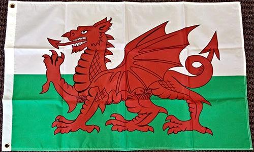 Cardiff City FC Wales Flag Welsh Dragon Banner-3x5 FT Australian New South Wales Banner-100% polyester-2 Metal Grommets by flagsshop