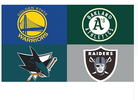 Golden State Warriors Flag-3x5FT Banner-100% polyester by flagsshop